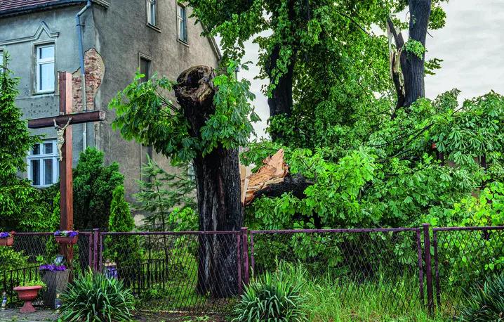 Gwałtowna burza z gradobiciem spowodowała znaczne szkody – widoczne połamane drzewa, Tymowa, Dolny Śląsk, 5 czerwca 2025 r. fot. PIOTR DZIURMAN/ REPORTER/east news