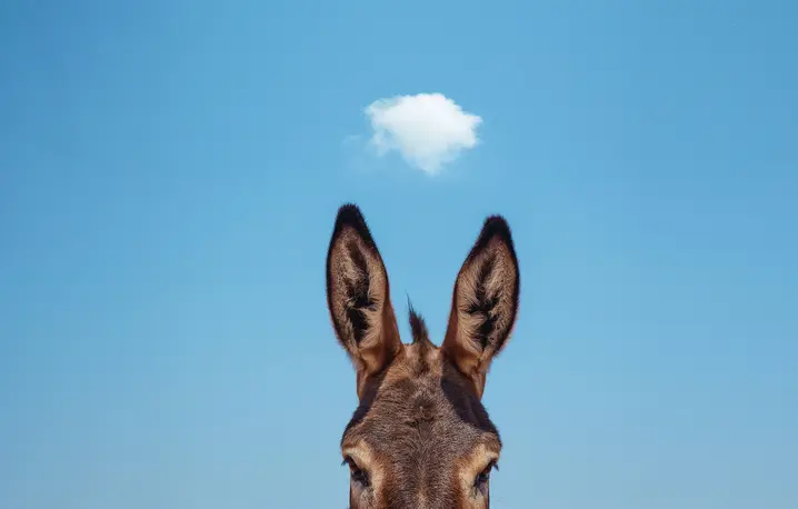 fot. Cavan Images/getty Images, archiwum prywatne