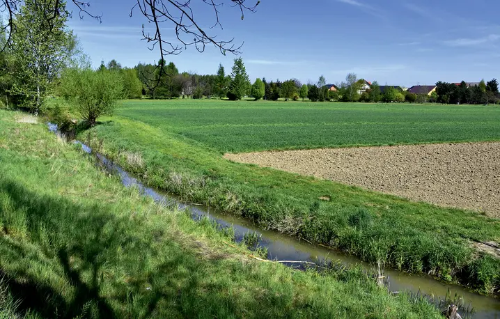 fot. Albin Marciniak/East News