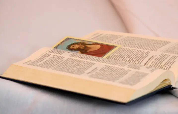 fot. Fred de Noyelle/getty images