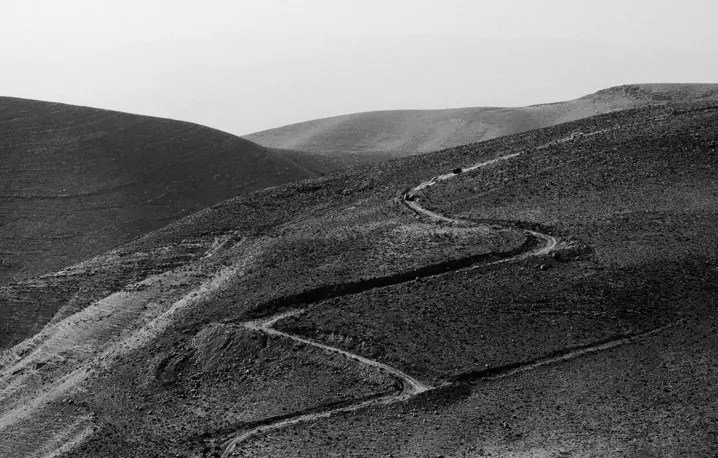 fot. Unsplash