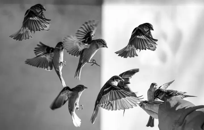 Fot. Unsplash