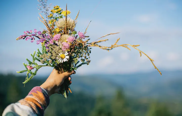 Fot. Sonya Chny/Adobe Stock