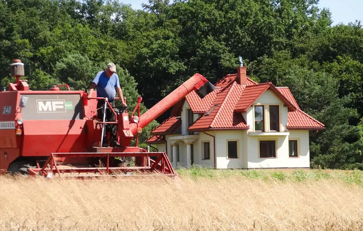 Żniwa we wsi Krasiczyn w województwie podkarpackim, lipiec 2020 r. fot. Kamil Krukiewicz/ REPORTER/EAST NEWS