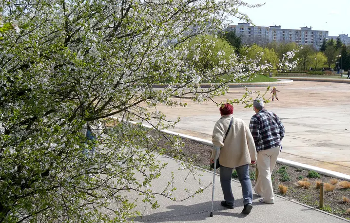 Park Bródnowski w Warszawie. Pod koniec ubiegłego roku, około 8 mln Polaków miało więcej niż 65 lat | fot. Marek Bazak/East News