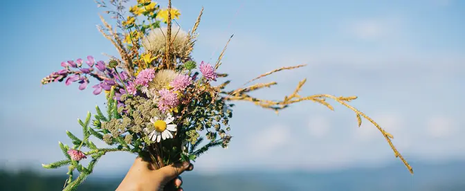 Fot. Sonya Chny/Adobe Stock